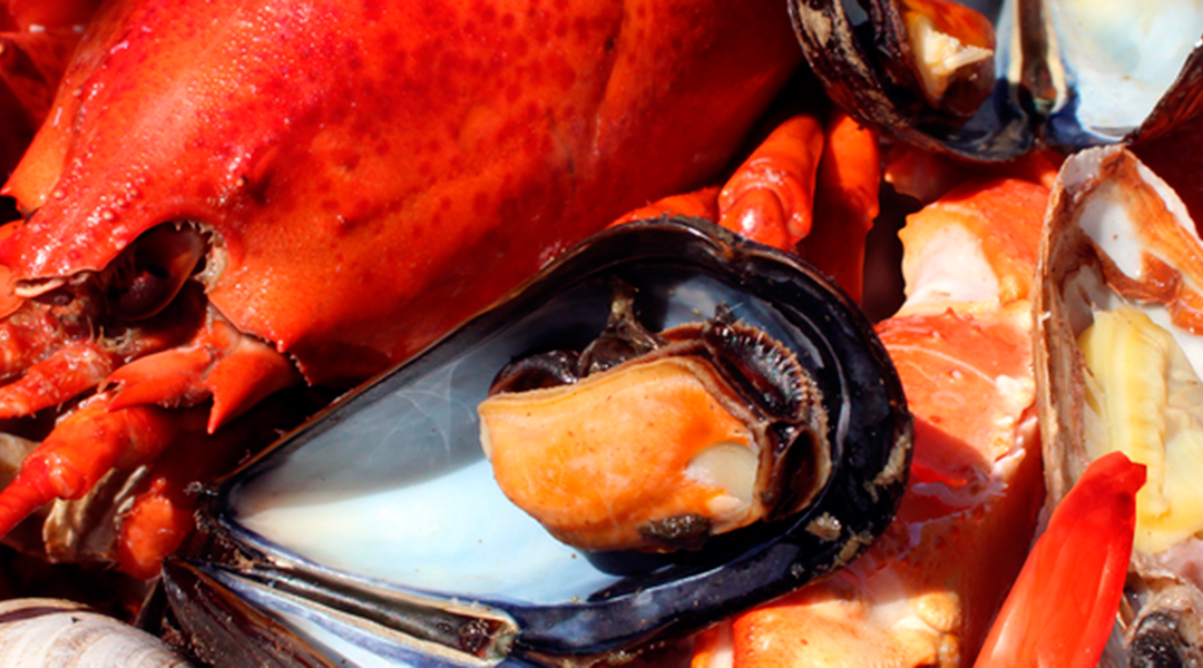 Do you really know the seasonal seafood calendar?