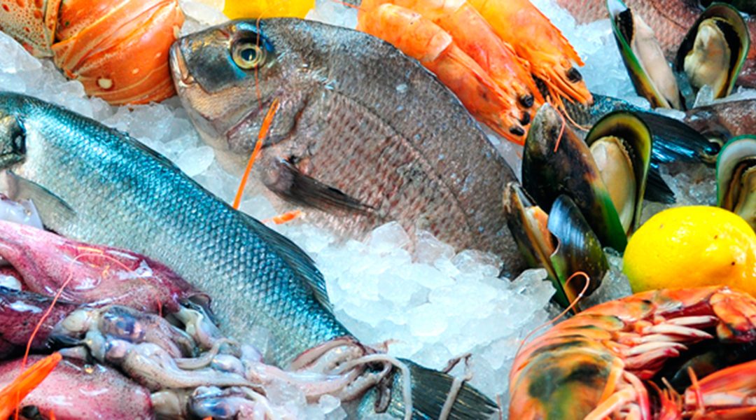 What are the health benefits of each kind of fish?