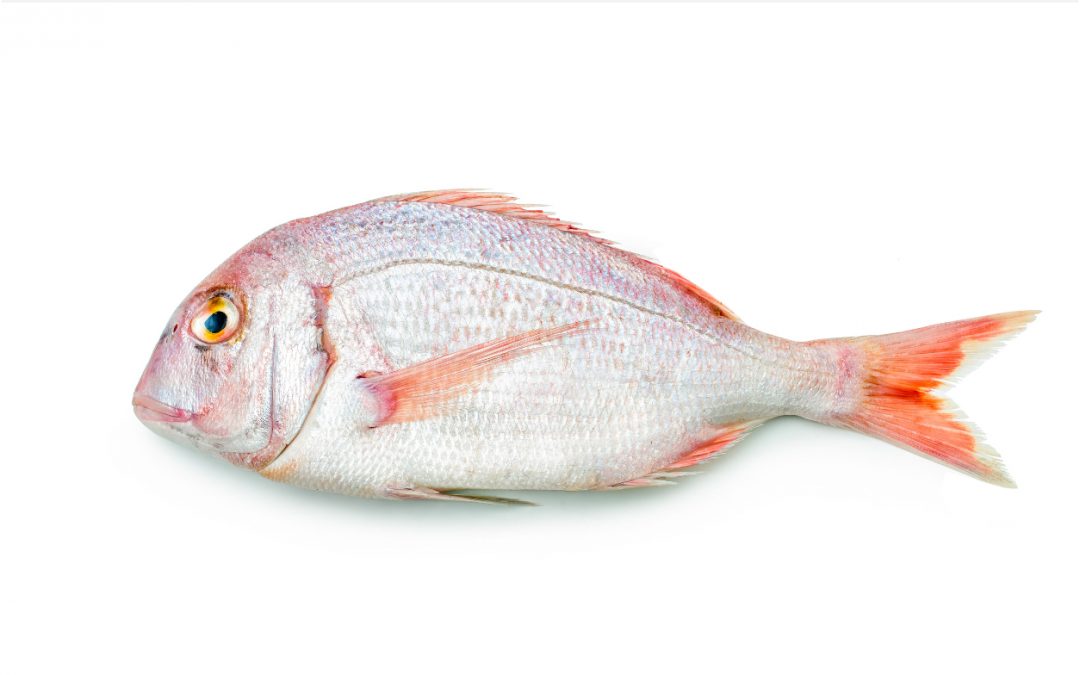 PARGO
