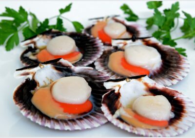 SCALLOP