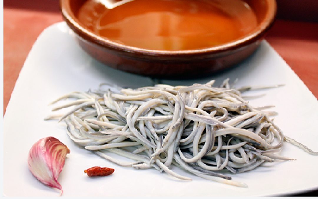 ANGULA