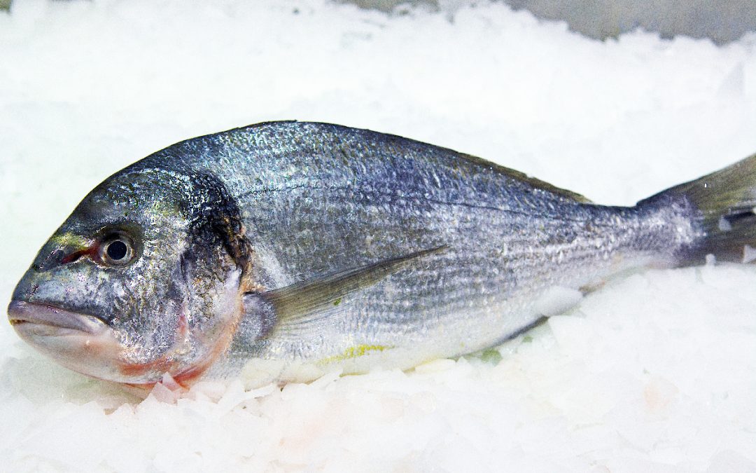DORADA