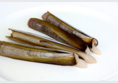 DUTCH RAZOR CLAM