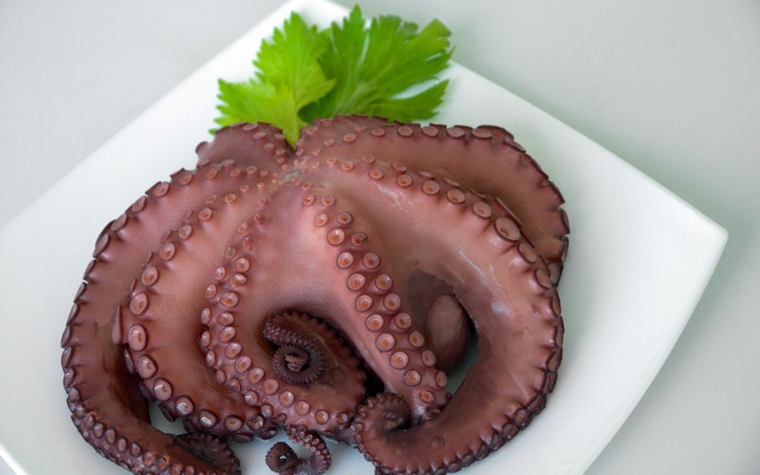 Cooked Octopus