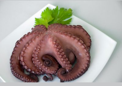 Cooked Octopus