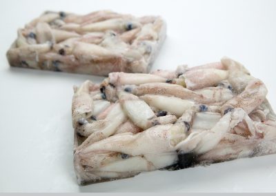 Baby Squid