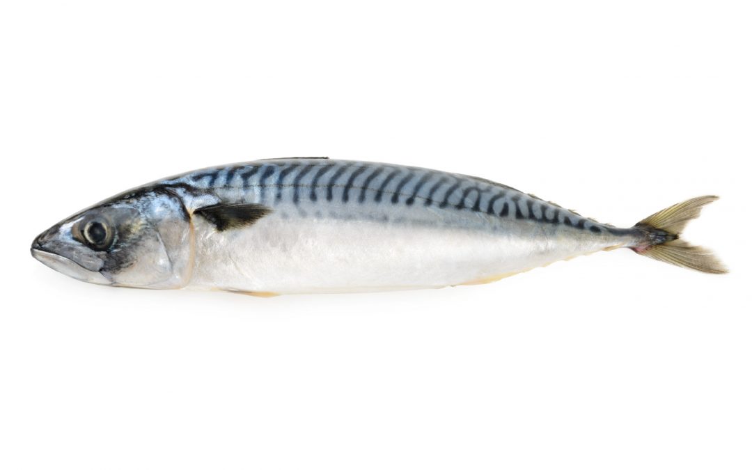 CABALLA