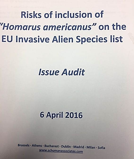 UNIÓN EUROPEA: Riesgo de inclusión del Bogavante vivo de Canadá/americano en la lista de especies invasoras