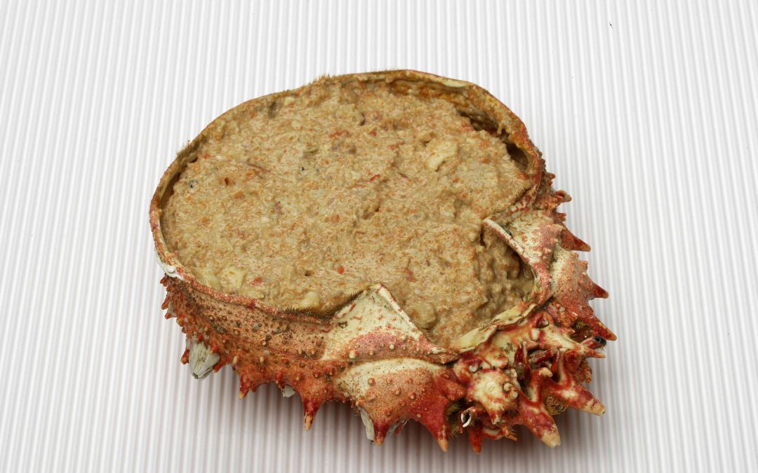CENTOLLO RELLENO