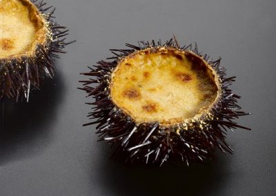 Stuffed Sea Urchin