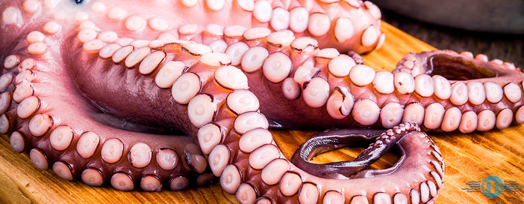 El pulpo: ¿cómo podemos cocinarlo?