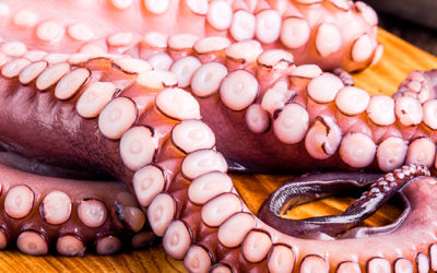El pulpo: ¿cómo podemos cocinarlo?