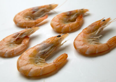 FROZEN COOKED PRAWN