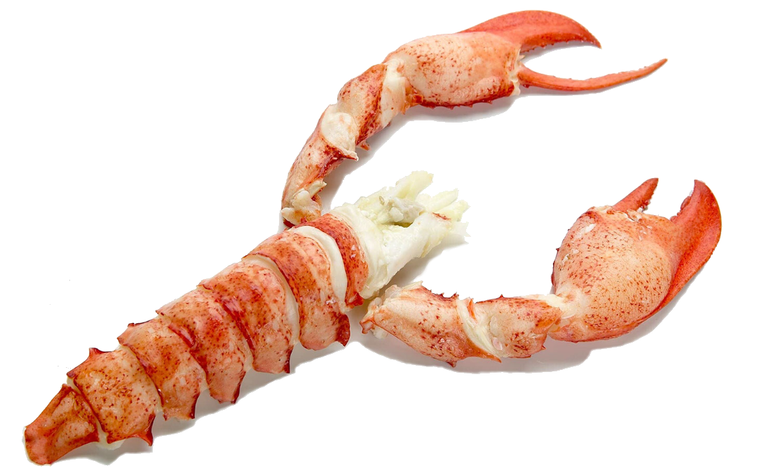 BOGAVANTE HYPERFRESH QUALITY