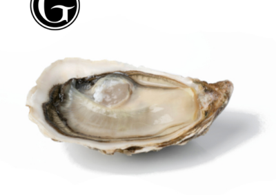 FRENCH OYSTER