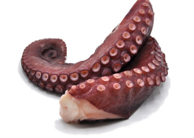 PULPO COCIDO PATAS