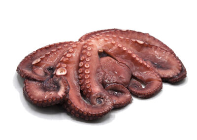 Morocco Octopus