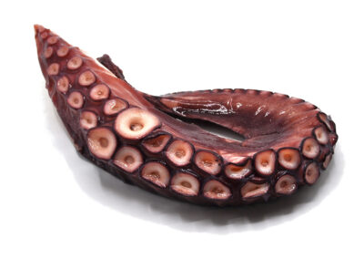 Pasteurized Octopus Leg