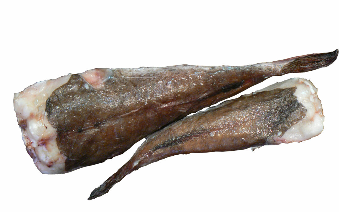 MONKFISH WITH SKIN