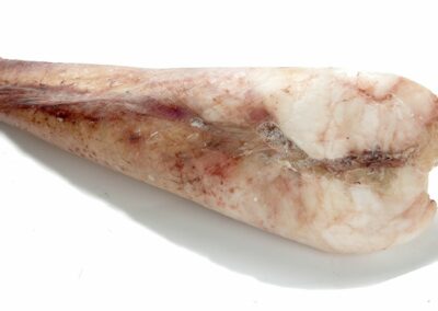 Namibia (Africa) Monkfish without skin