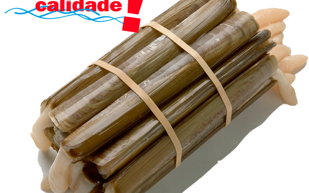 NAVAJA GALLEGA