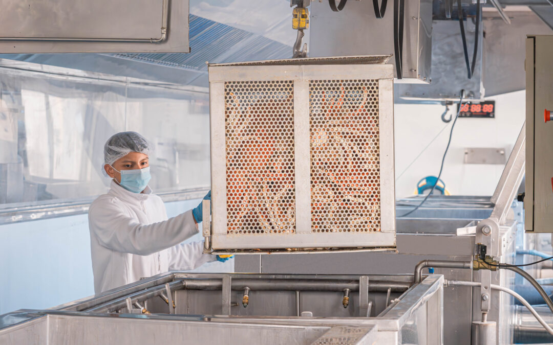 Certificacions renovades amb èxit: IFS i MSC