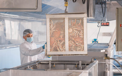 Certificaciones renovadas con éxito: IFS y MSC